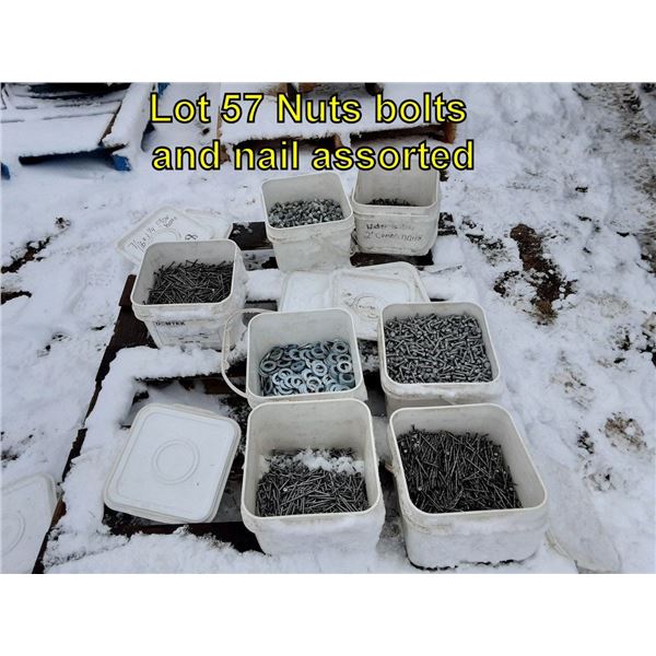 Nuts bolts and nails assorted
