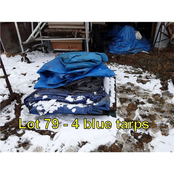 4 blue tarps