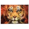 Image 1 : "Red Liger" Limited Edition Giclee on Canvas by Martin Katon, Numbered and Hand