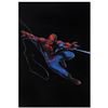 Image 1 : Marvel Comics "Secret War #1" Numbered Limited Edition Giclee on Canvas by Gabri
