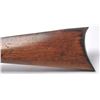 Image 11 : 21BP-4 COLT PUMP LIGHTENING
