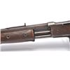 Image 15 : 21BP-4 COLT PUMP LIGHTENING