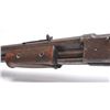 Image 16 : 21BP-4 COLT PUMP LIGHTENING