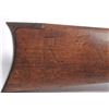 Image 4 : 21BP-4 COLT PUMP LIGHTENING