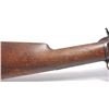 Image 5 : 21BP-4 COLT PUMP LIGHTENING