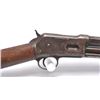 Image 6 : 21BP-4 COLT PUMP LIGHTENING