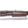 Image 7 : 21BP-4 COLT PUMP LIGHTENING
