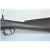 Image 13 : 21BG-A47 SPRINGFIELD CADET RIFLE