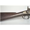 Image 3 : 21BG-A47 SPRINGFIELD CADET RIFLE
