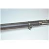 Image 9 : 21BG-A47 SPRINGFIELD CADET RIFLE
