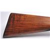 Image 3 : 21CC-4 E&W BOND PERC. SHOTGUN