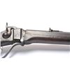 Image 13 : 21BS-4 SHARPS NORTH POLE GUN