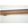 Image 24 : 21BG-A372 CYCLOPS MUSKET