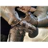 Image 8 : 21BG-A399 SUIT OF ARMOUR