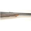 Image 21 : 21CD-1 HOLLAND & HOLLAND DBL RIFLE