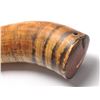 Image 2 : 21BG-A1 AMERICAN POWDER HORN