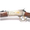 Image 12 : 21AI-1 BROWNING M-71 .348