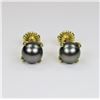 Image 1 : 21CAI-15 BLACK PEARL EARRINGS