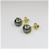 Image 2 : 21CAI-15 BLACK PEARL EARRINGS
