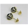 Image 3 : 21CAI-15 BLACK PEARL EARRINGS