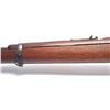 Image 15 : 21CN-16 WINCHESTER LEE