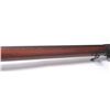 Image 8 : 21CN-16 WINCHESTER LEE