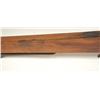 Image 3 : 21BT-7 CROSSBOW
