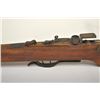 Image 4 : 21BT-7 CROSSBOW