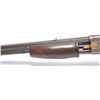 Image 13 : 21AP-7 COLT LIGHTNING