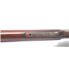 Image 9 : 21AP-7 COLT LIGHTNING