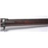 Image 10 : 21AP-13 ARISAKA RIFLE