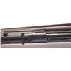Image 17 : 21CN-4 MK IV SPRINGFIELD