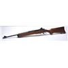 Image 2 : 21BJ-10 RUGER MINI 14