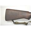 Image 12 : 21AP-6 U.S. M-1 RIFLE