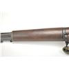Image 8 : 21AP-6 U.S. M-1 RIFLE