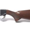 Image 10 : 21AM-4 BROWNING BPS PUMP