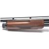 Image 11 : 21AM-4 BROWNING BPS PUMP