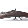 Image 14 : 21CN-1 SPRINGFIELD TRAPDOOR
