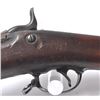 Image 15 : 21CN-1 SPRINGFIELD TRAPDOOR