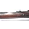 Image 16 : 21CN-1 SPRINGFIELD TRAPDOOR