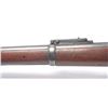 Image 17 : 21CN-1 SPRINGFIELD TRAPDOOR