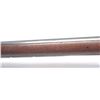 Image 18 : 21CN-1 SPRINGFIELD TRAPDOOR
