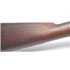 Image 4 : 21CN-1 SPRINGFIELD TRAPDOOR