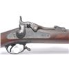 Image 6 : 21CN-1 SPRINGFIELD TRAPDOOR