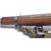Image 17 : 21AF-1 CARCANO BA RIFLE