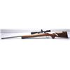 Image 1 : 21CG-4 REMINGTON 40X