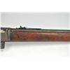 Image 15 : 21BG-A323 WINCHESTER 1905 #15557