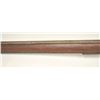 Image 8 : 21BG-A364 AMERICAN MILITIA MUSKET