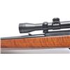 Image 14 : 21BV-1 RUGER MDL 10-22