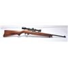 Image 2 : 21BV-1 RUGER MDL 10-22
